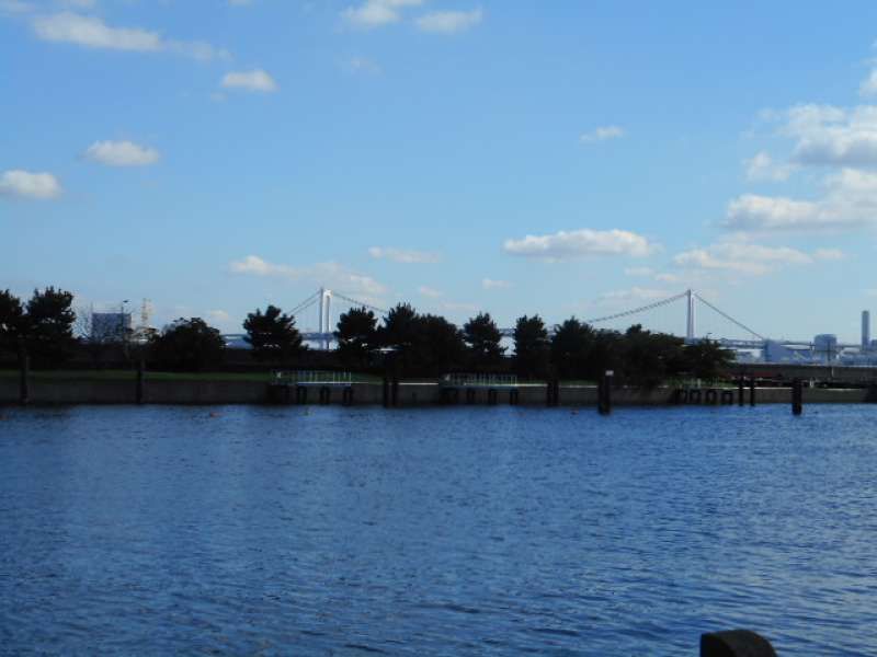 Tokyo Private Tour - View of Rainbow Bridge from the Gardens