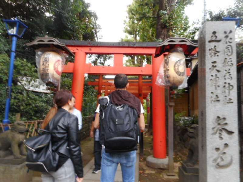 Tokyo Private Tour - Hanazono Inari Shrine at Ueno Park