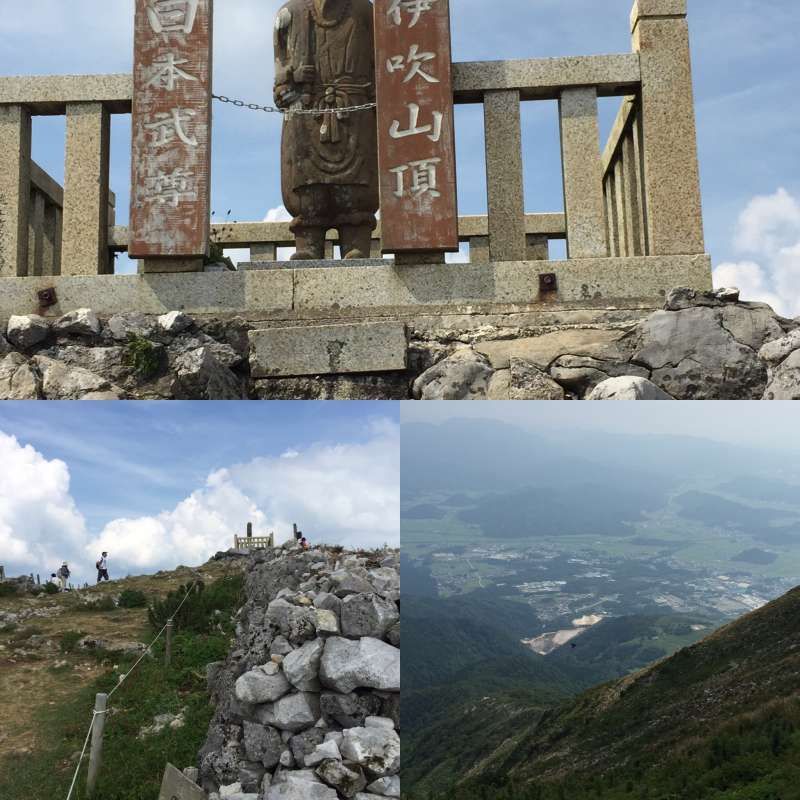 Shiga Private Tour - [Summer] The Summit of Ibuki-yama Mountain (伊吹山) in the East of Nagahama 