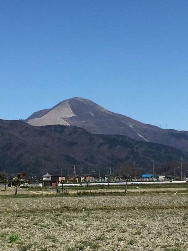 Shiga Private Tour - [Spring] Ibuki-yama Mountain (伊吹山) in the East of Nagahama 