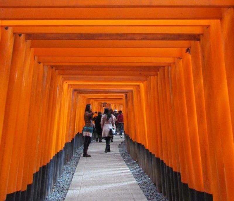 Kyoto Private Tour - Senbon torii or one thousand shrine gates at Fushimi Inari Shrine