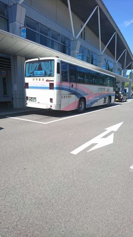 Ehime Private Tour - A limousine waiting for passengers.