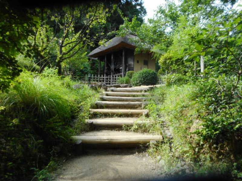 Kanagawa Private Tour - Stairs to a watermill 