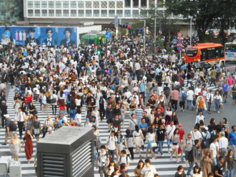 Kanagawa Private Tour - One of the options: Shibuya Crossing