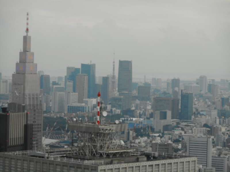 Kanagawa Private Tour - View of Yoyogi, Tokyo Tower and Rainbow Bridge from the observation deck of Tokyo Metropolitian Government Building