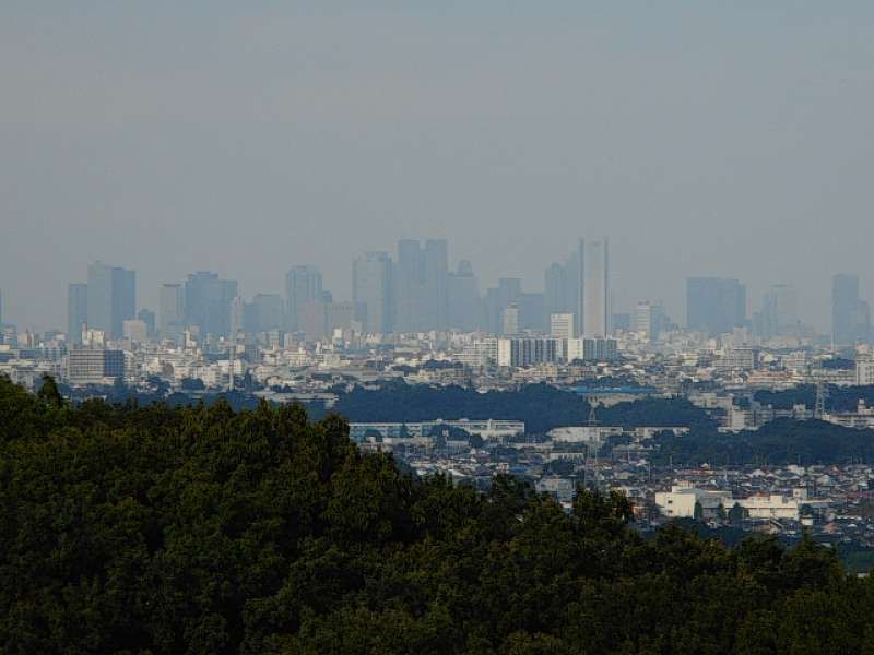 Kanagawa Private Tour - View of Shinjuku from Mt. Masugata