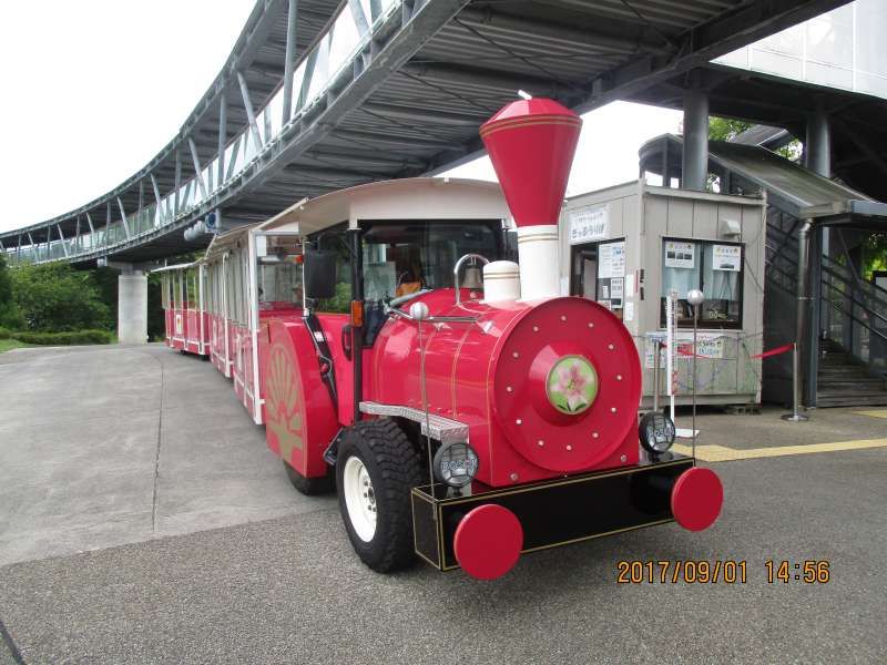 Tottori Private Tour - Flower train in Tottori Hanakairo Flower Park