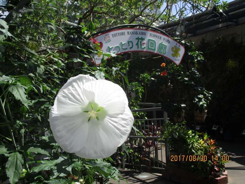 Tottori Private Tour - The entrance of Tottori Hanakairo Flower Park