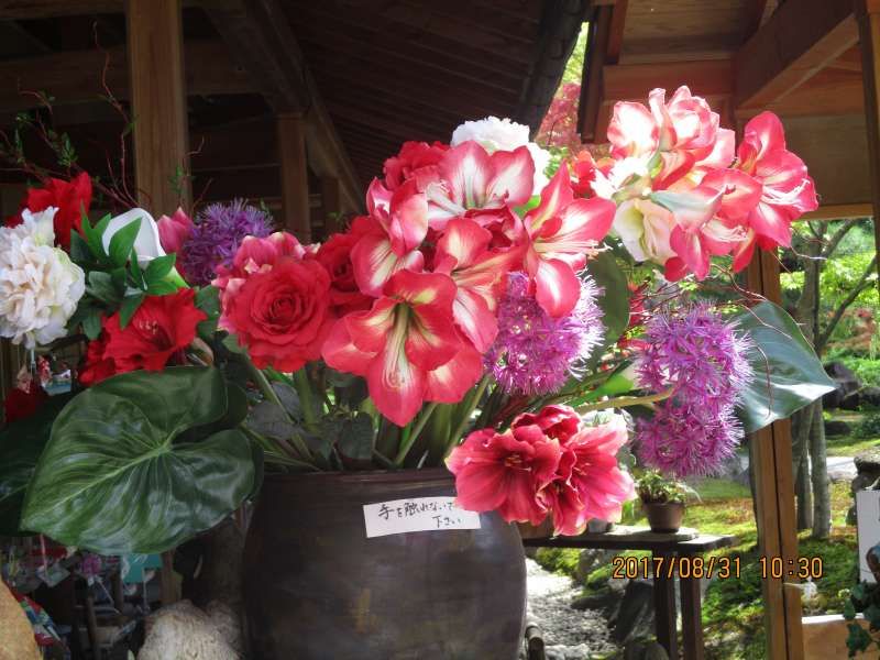 Tottori Private Tour - Peony flowers