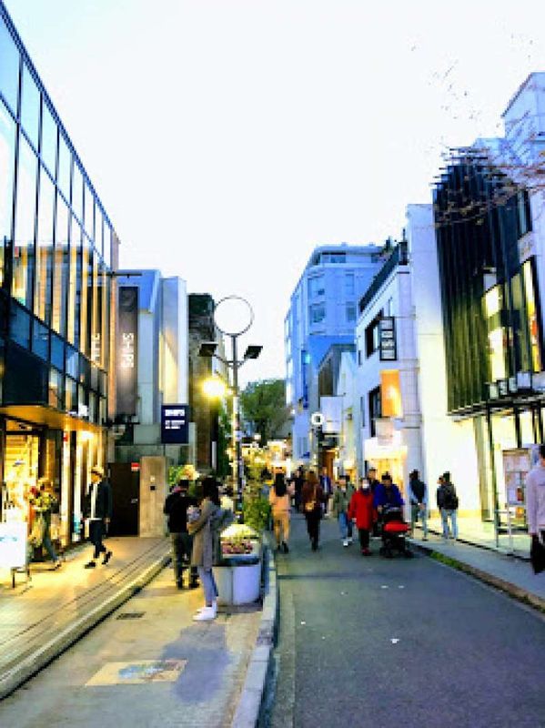 Tokyo Private Tour - Cat Street, Harajuku