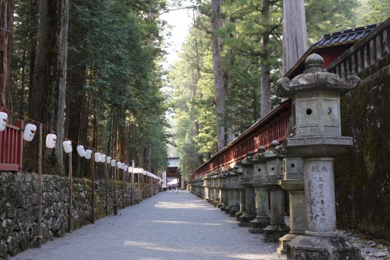 Nikko Private Tour - Old Ceder trees road between Toshogu and Taiyuin