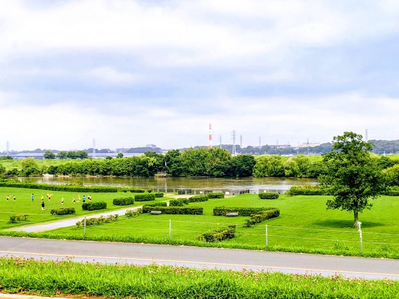 Tokyo Private Tour - Strolling along Edo River