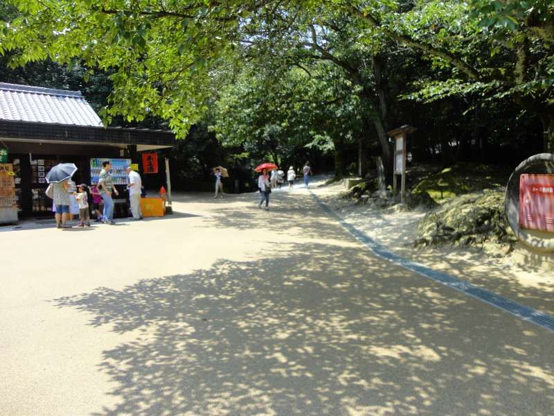 Ehime Private Tour - The square in the middle way to the top of the hill.There are lots of trees and floweres planted here throughout the year: cherry trees and wistetria in spring, hydrangers in rainy season, and oak trees and winter cherry in winter.