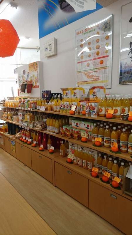 Ehime Private Tour - Lots of mikan, or orange, products. 