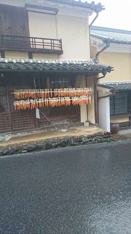 Ehime Private Tour - These are dried corn. Dring corn makes them last long.