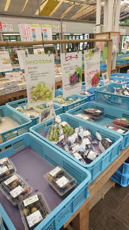 Ehime Private Tour - There is a market selling farmers' produce in it.