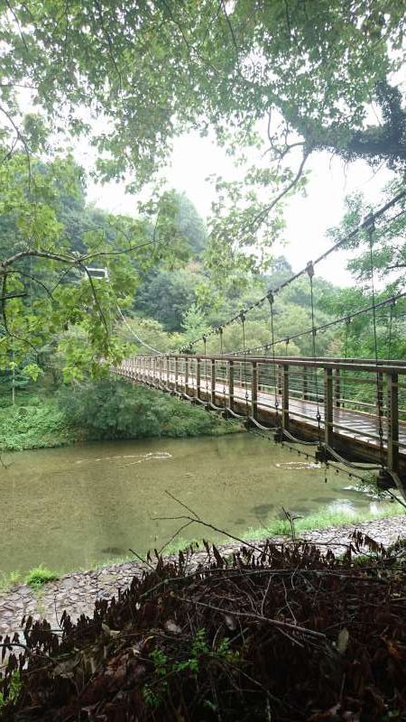 Ehime Private Tour - It is beside the Oda River.