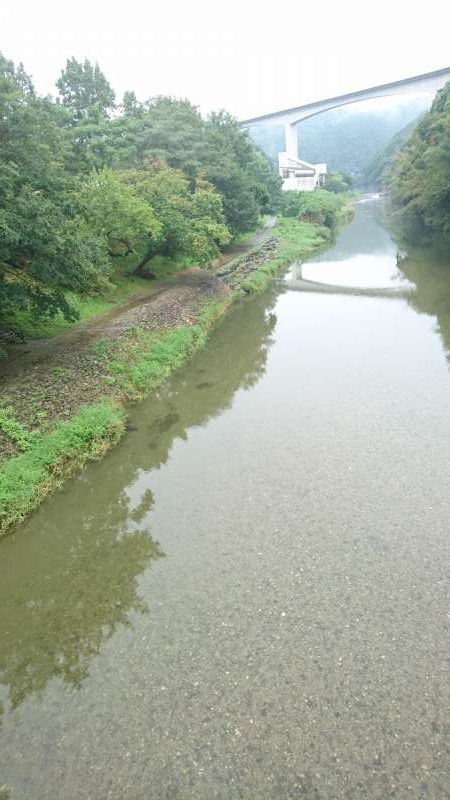 Ehime Private Tour - This river is very beautiful. The sand on the bottom often shines like gold dust.