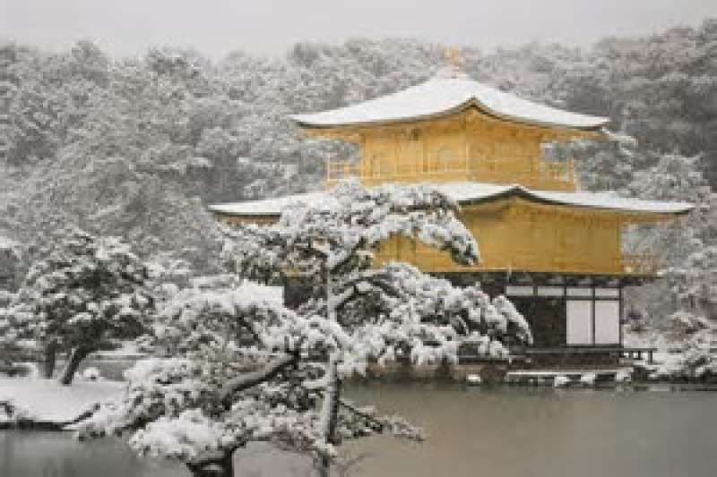 Must See Spots Of Kyoto Kinkakuji Temple Arashiyama Ryoanji Temple Cherry Blossom Viewing Kyoto Gowithguide