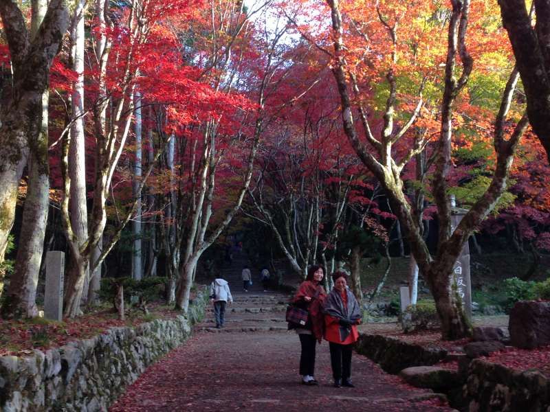 Shiga Private Tour - Autumnal Leaves at Keisoku-ji Temple (鶏足寺) [4 of 4]