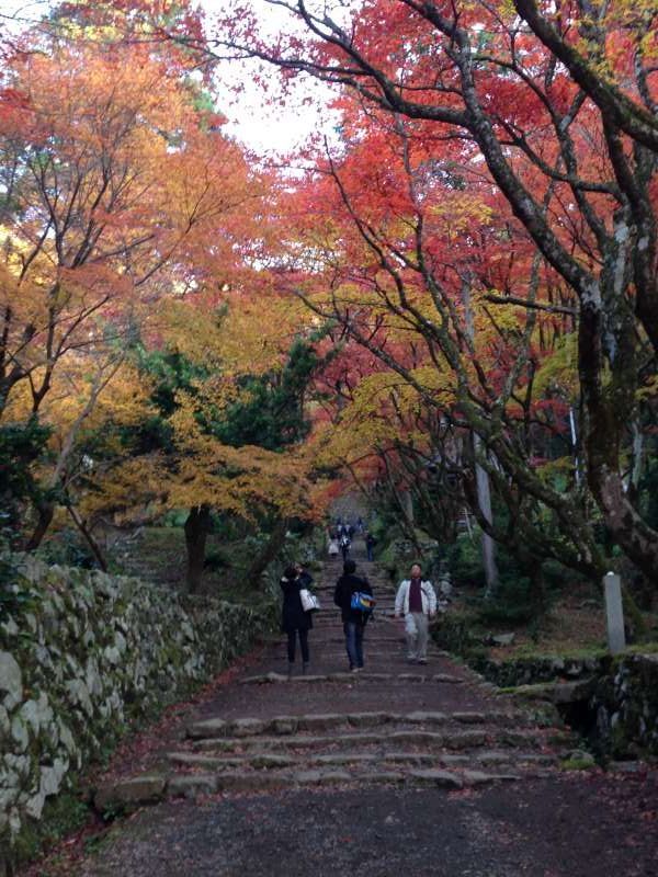 Shiga Private Tour - Autumnal Leaves at Keisoku-ji Temple (鶏足寺) [3 of 4]