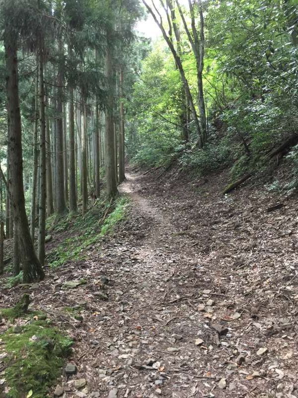 Shiga Private Tour - The Path towards the Summit of Old Battlefields, Mt. Shizugatake