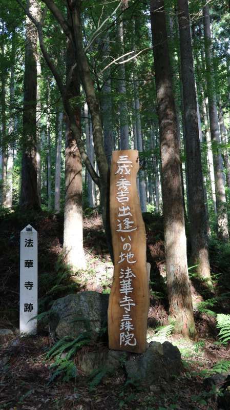 Shiga Private Tour - The Ruin of Hokkeji-temple (法華寺)