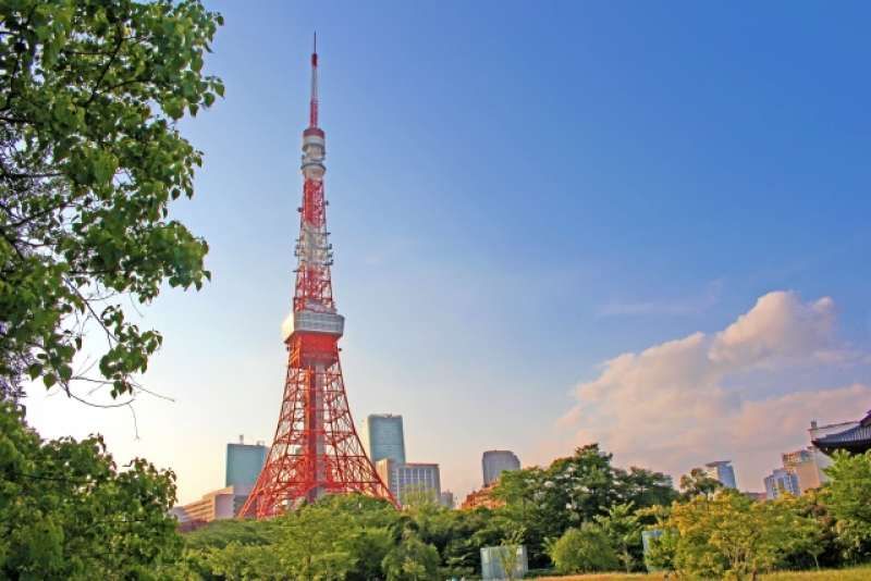 Tokyo Private Tour - Tokyo Tower