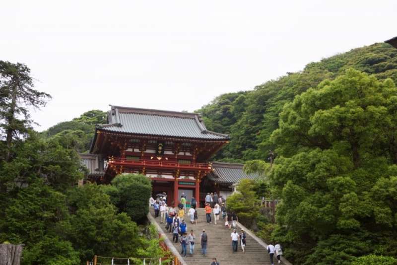Kamakura Private Tour - Tsurugaoka Hachimangu shrine
