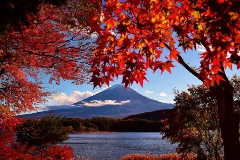 Mount Fuji Private Tour - Mt. Fuji and Lake Kawaguchiko