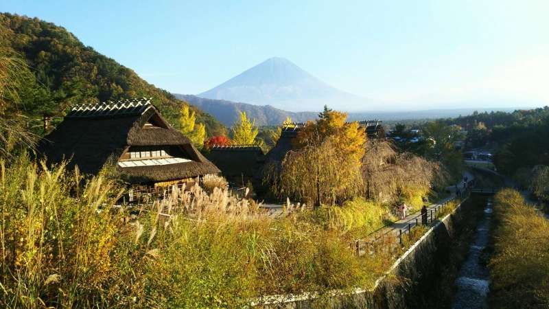 Mount Fuji Private Tour - Saiko Iyashino sato Nenba