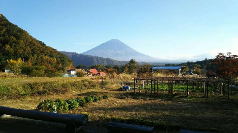 Mount Fuji Private Tour - Saiko Iyashino sato Nenba