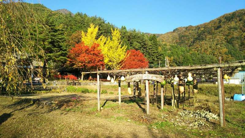 Mount Fuji Private Tour - Saiko Iyashino sato Nenba