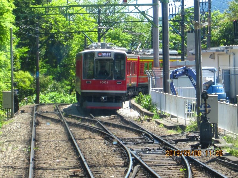 Hakone Private Tour - Mountain Climbing  train: You enjoy three switch-backs from Hakone Yumot to Gora station.