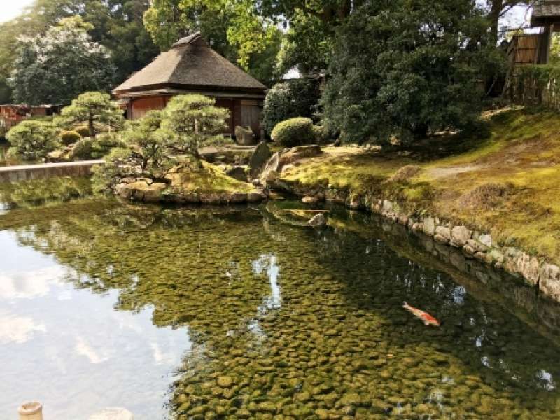 Okayama Private Tour - Korakuen garden
Admission fee is 400 yen.