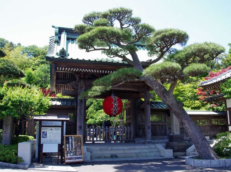 Kamakura Private Tour - Landmark of Hase temple at the entrance.
The compound of Hasedera Temple is called the Paradise of the Pure Land of Kamakura.