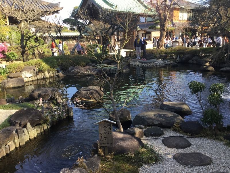 Kamakura Private Tour - Stroll-style garden in Hase temple