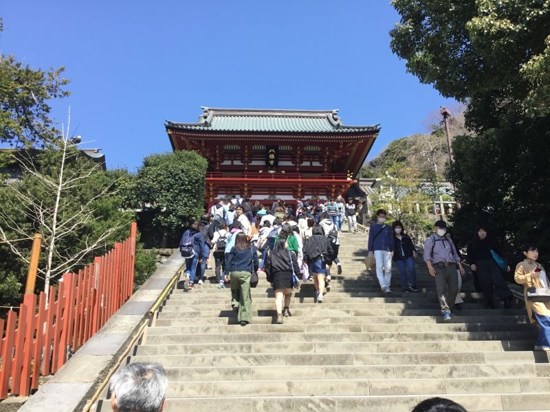 Kamakura Private Tour - Tsuruoka Hachiman Shrine deify the Shogun of Kamakura established in 12th Century.