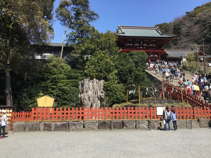 Kamakura Private Tour - Tsuruoka Hachiman Shrine as a large complex of Shinto and Buddhism