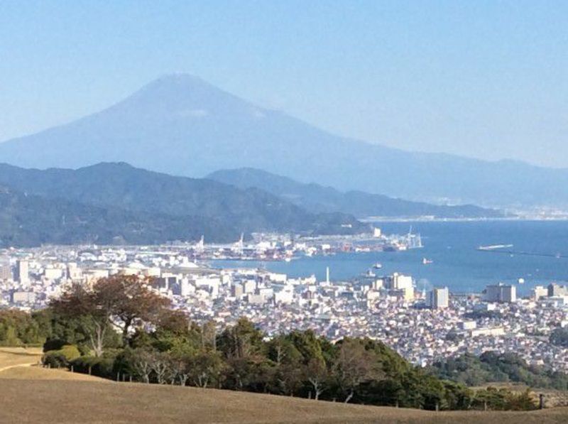 Other Shizuoka Locations Private Tour - A great view of Mt. Fuji and Shimizu port from Nihondaira.