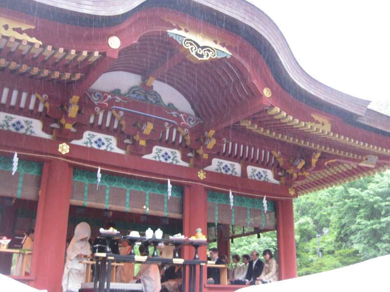 Kamakura Private Tour - Tsurugaoka  Hachimangu  Shrine is the biggest shrine in Kamakura.