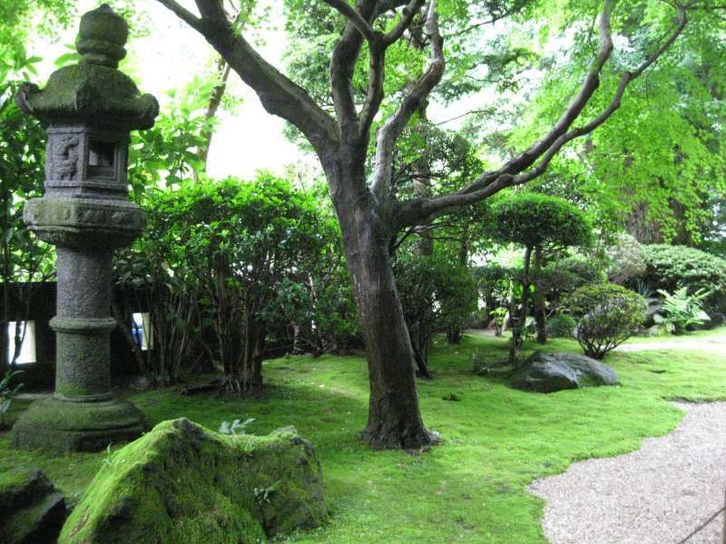 Kamakura Private Tour - The Japanese garden in Hokokuji  Temple.