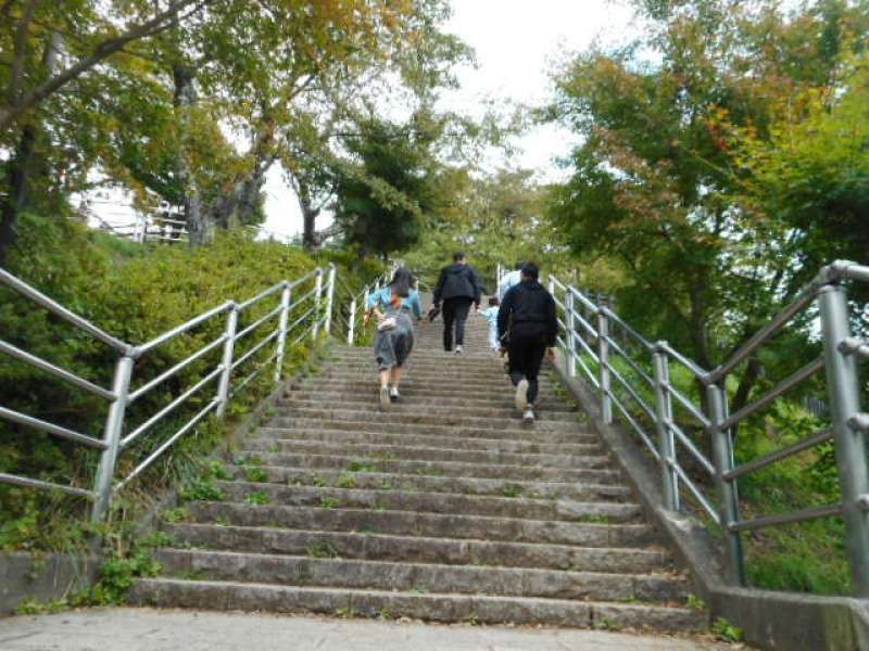 Mount Fuji Private Tour - 398 stairs to Arakurayama Sengen Park View Point
