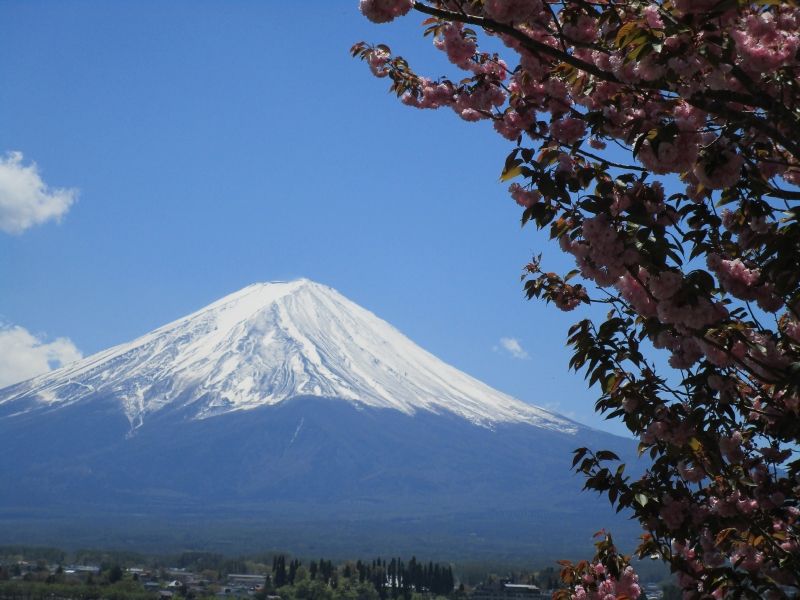 Mount Fuji Private Tour - From the North Shore of Kawaguchiko (May 8, 2019)