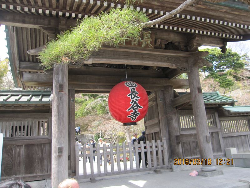 Kamakura Private Tour - Hasedera temple' entrance gate