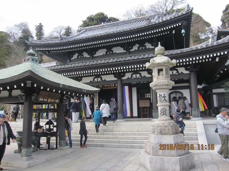 Kamakura Private Tour - Hasedera temple