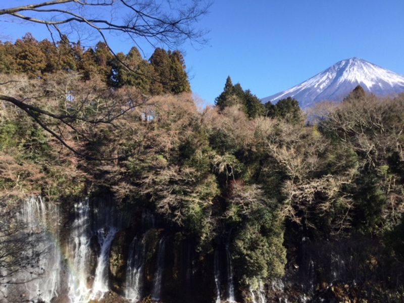 Mount Fuji Private Tour - null