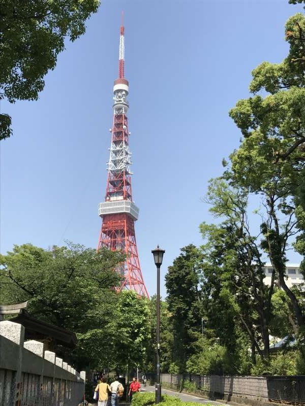 Tokyo Private Tour - Tokyo Tower