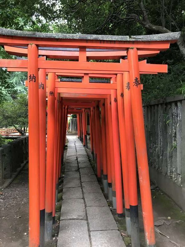 Tokyo Private Tour - Red Torii (gate) at Nezu Shrine