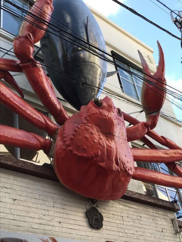 Tokyo Private Tour - Tsukiji Outer Market